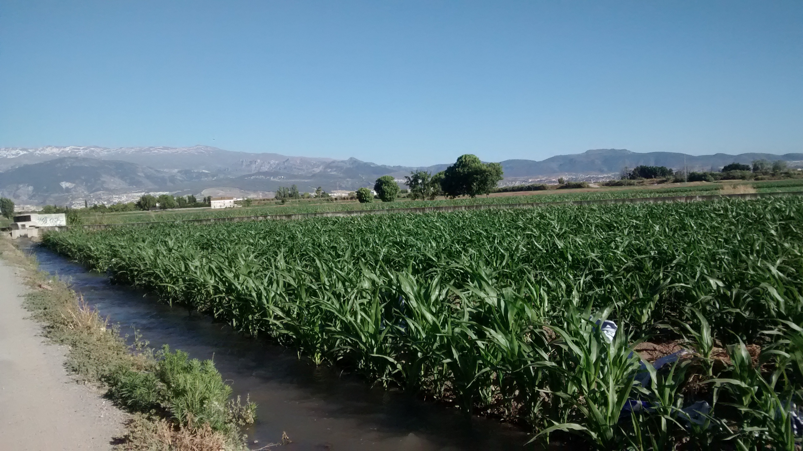 acequia.jpg