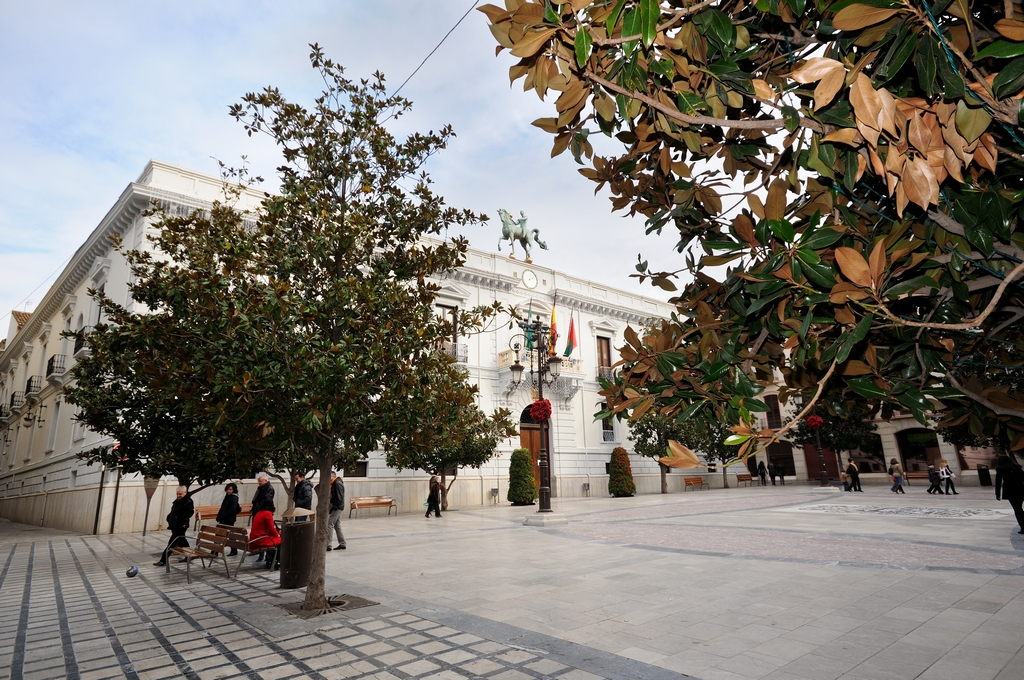 Ayuntamiento de Granada