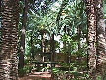 Jardín a espaldas del edificio Jardín a espaldas del edificio