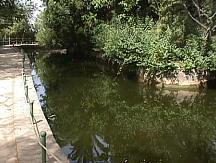 Lago