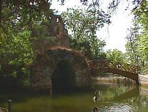 Isla del lago