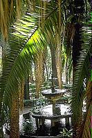 Jardín de las Palmeras Jardín de las Palmeras